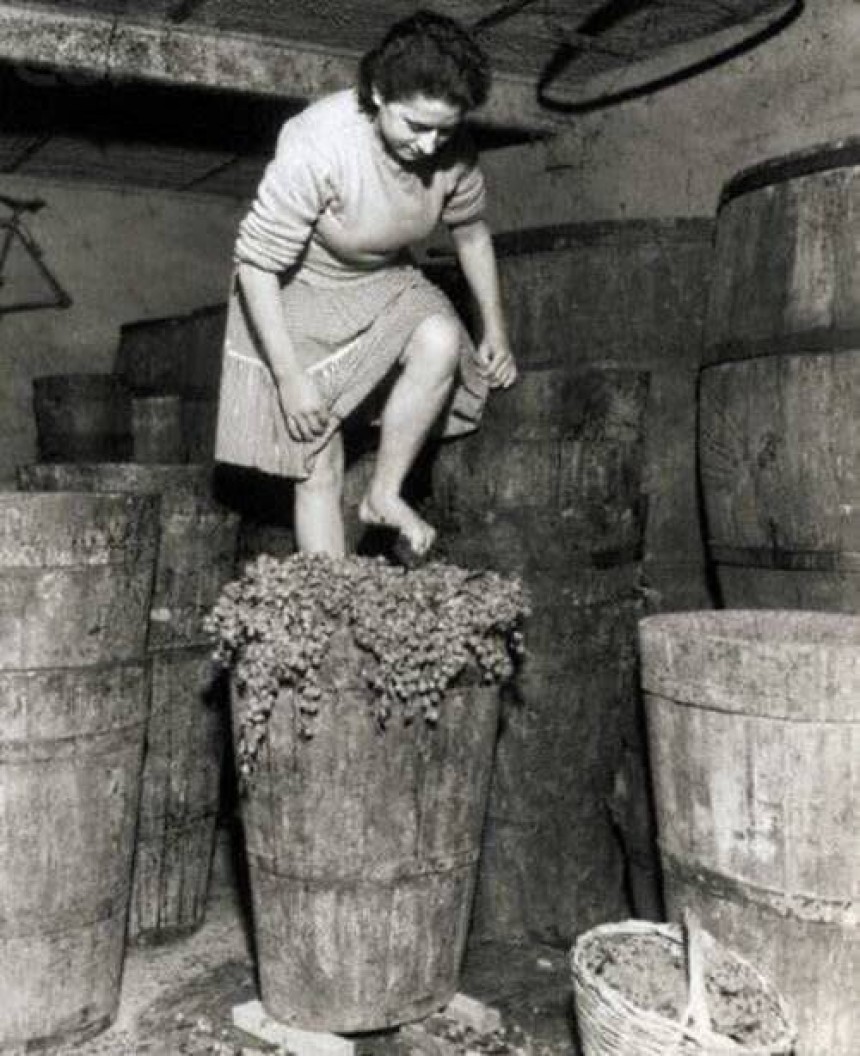 Подорож у минуле: виготовлення вина в Італії у 1957 році
