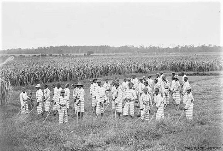 Неповнолітні засуджені за роботою на полях. США, 1903 рік.