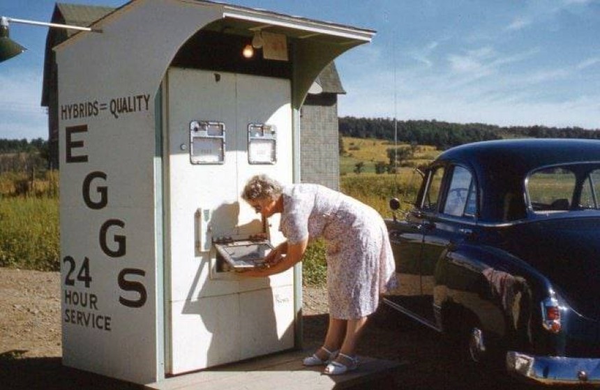 Автомат із продажу курячих яєць. 1955 рік.