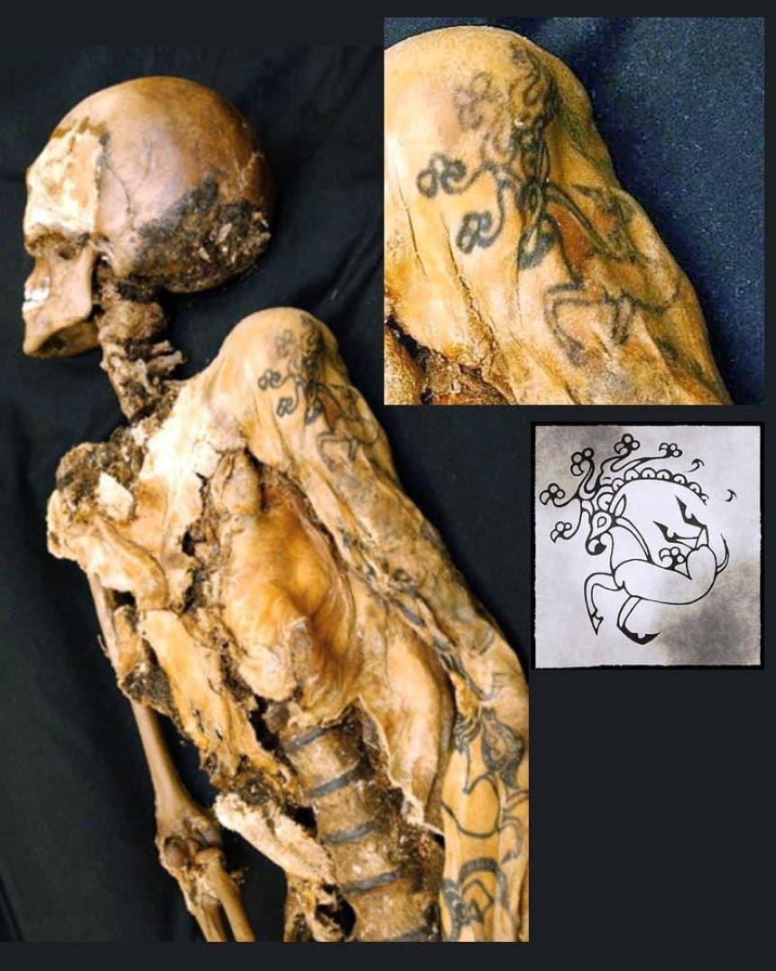 Стародавнє тату скіфського оленя на мумії "Алтайської принцеси"