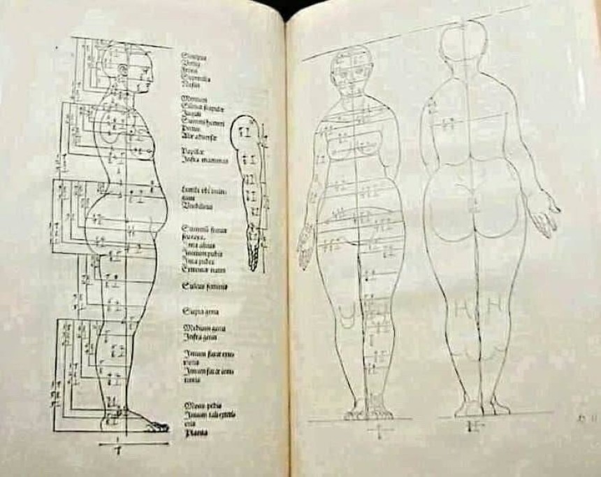Ідеальні жіночі пропорції в роботах Альбрехта Дюрера